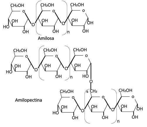 Descubre el fascinante proceso de formación de un enlace glucosídico