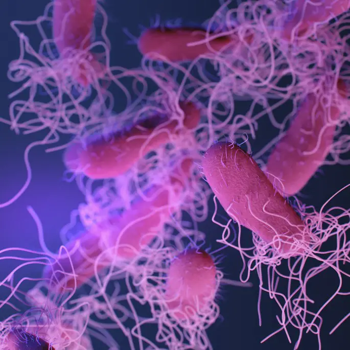 Descubre la Resistente Pared Celular de las Bacterias Gram Negativas