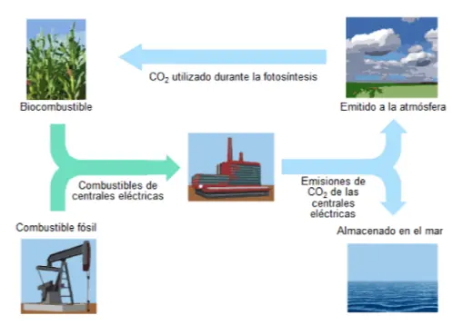 Descubriendo los Tipos de Carbono en el Petróleo