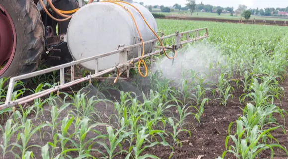 Todo lo que debes saber sobre los fertilizantes químicos: beneficios y riesgos